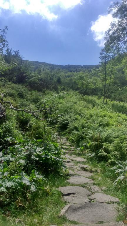 Agroturystyka Lesny Zakatek Stryszawa Buitenkant foto