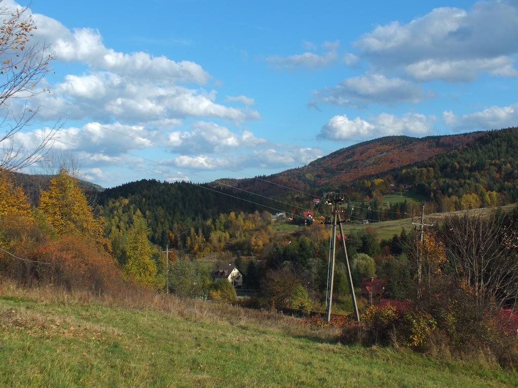 Agroturystyka Lesny Zakatek Stryszawa Buitenkant foto