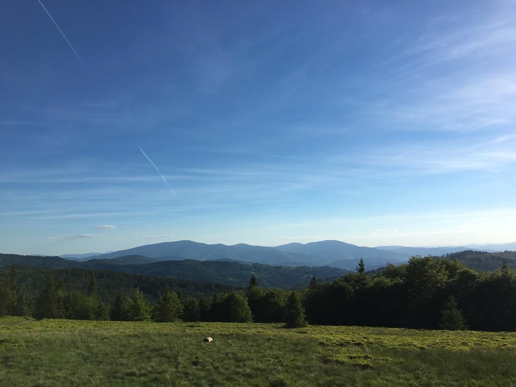 Agroturystyka Lesny Zakatek Stryszawa Buitenkant foto