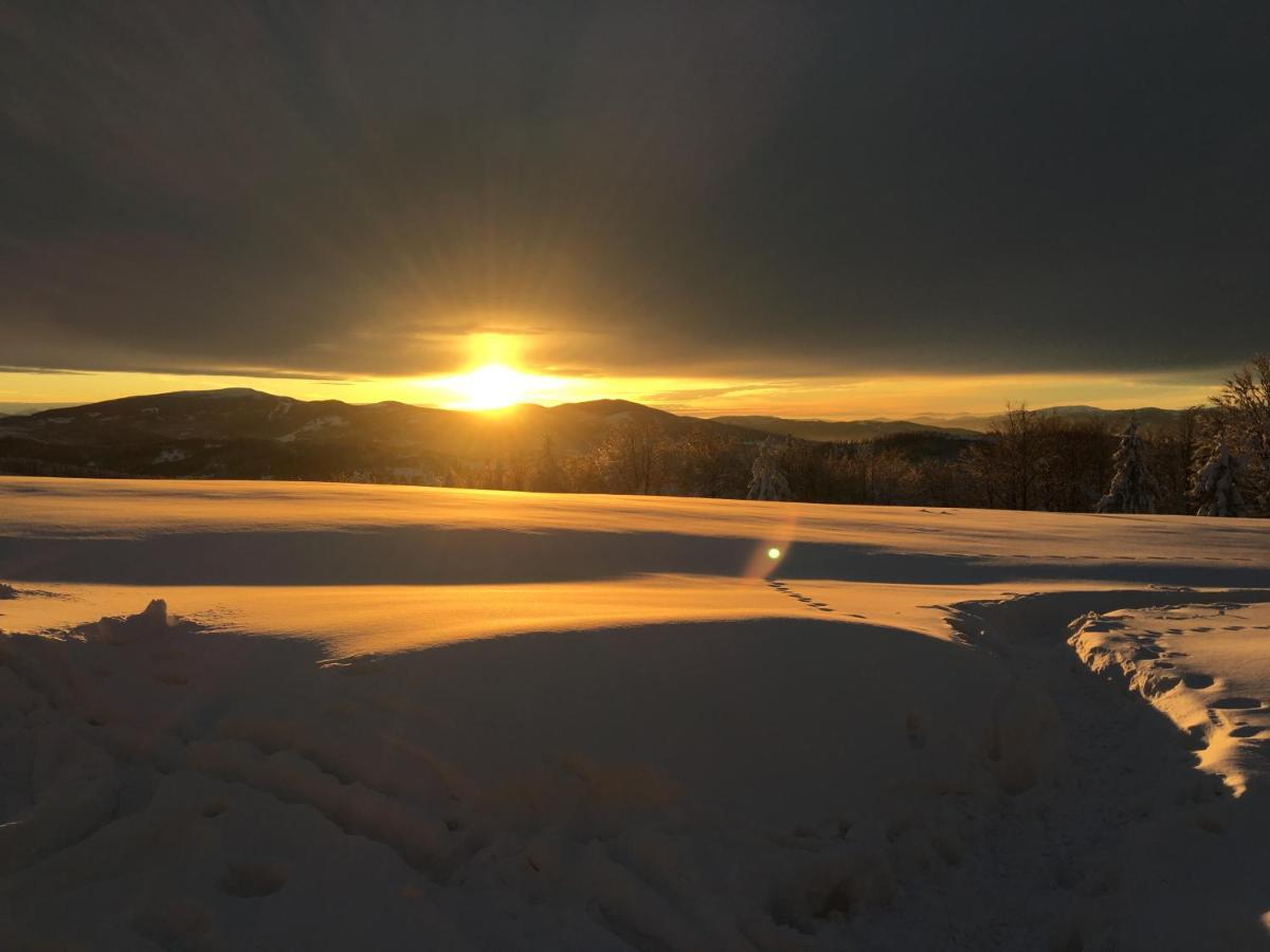 Agroturystyka Lesny Zakatek Stryszawa Buitenkant foto